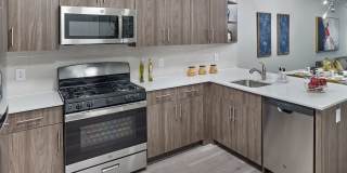 The Hartlan Gallery 24