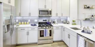 The Enclave Gallery 1