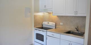 1718 Anapuni St. #502 1718 Anapuni St. #502 Gallery 3