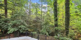 5 BR 4.5 BA home with inground heated pool and extensive hardscape! Gallery 55