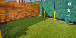 DLUX Lofts Gallery 80