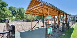 Cottonwood Creek Gallery 23