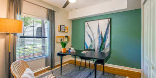 Avalia Gallery 35