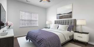 Trellis Pointe Gallery 2