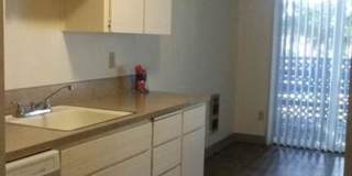Linden Apartments Gallery 6