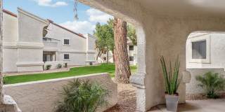 Vetra Chandler Gallery 20