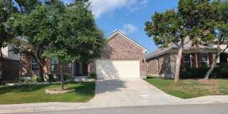 16006 Sight Scape Gallery 2