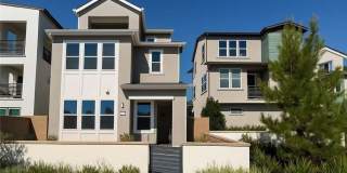 609 Gadwall Gallery 1