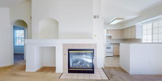 Tiburon Gallery 2