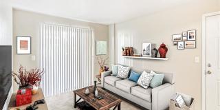 James Pointe Apartments Gallery 152