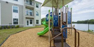 Madison Palms Gallery 22