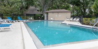 6908 ARBOR OAKS Circle Gallery 46
