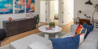 The Frankie Gallery 6