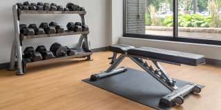 Vista Apartment Homes Gallery 20