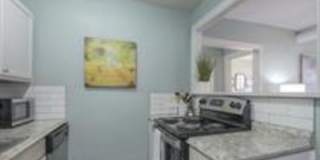 722 W 37th St - 3 Gallery 14