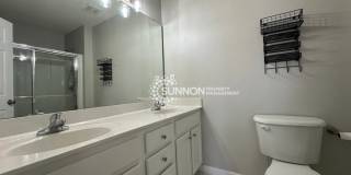 12517 Britton Wood Place Gallery 17