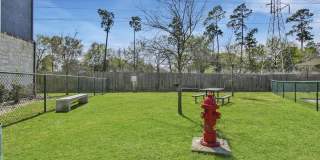 Hollow Tree Park Gallery 7