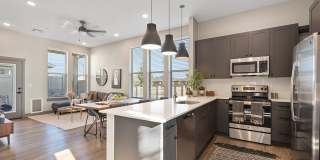 Modern Craftsman Black Cat Gallery 20