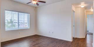 Altair Apartments Gallery 23