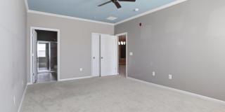 24636 WOOLLY MAMMOTH Terrace Gallery 23
