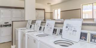 Rise Desert West Gallery 79