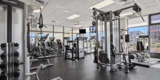 5000 Boardwalk Gallery 60
