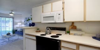 Tanglewood Gallery 40