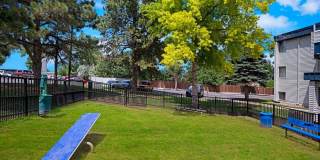 Arvada Green Gallery 15