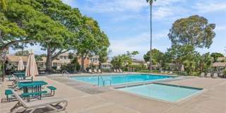 10172 Ascot Gallery 24