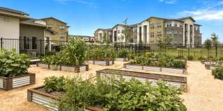 Affordable Housing - The Scott at Medio Creek Gallery 24