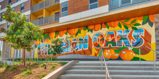 Citrus Commons Gallery 34