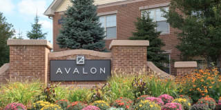Avalon at Chestnut Hill Gallery 43