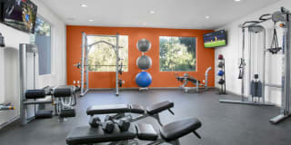 Ava Studio City Gallery 17