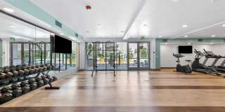 The Elinor Gallery 5