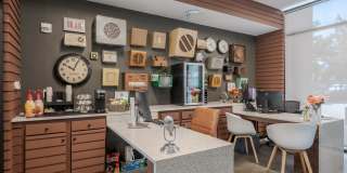 Pinnex Gallery 10