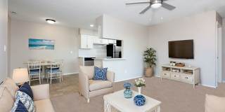 Venice Park Gallery 23