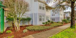 Fern Ridge Gallery 26