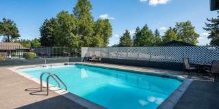 Pinewood Terrace Gallery 11