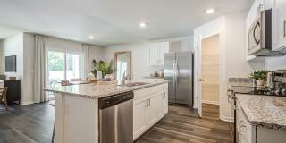 Jackey's Ridge Gallery 7