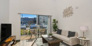 Apollo Apartments Gallery 8