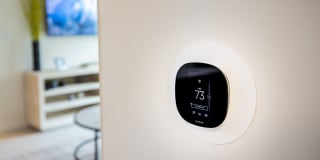 Eurus at Miramar Gallery 37