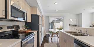 Amazon Falls Gallery 1