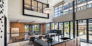 The Collins The Collins Gallery 32