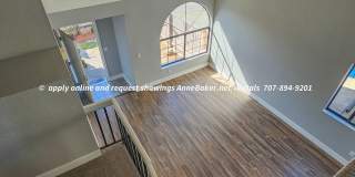 Recently Updated - Newer Appliances, Flooring, Fixtures - 3-Car Garage - Windsor Gallery 6