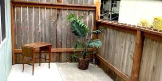 Roxclif Court Gallery 44