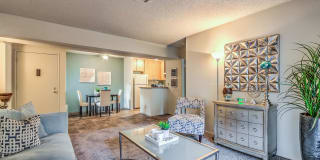 Vista del Valle Gallery 16