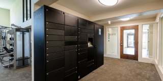 Lumina Apartments Gallery 38