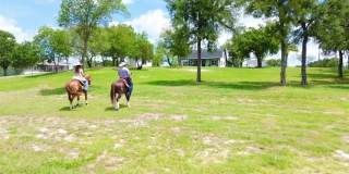 400 Timber Wild Drive Gallery 1