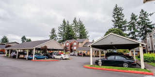 The Lucent Gallery 29