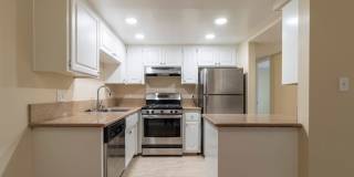 Marconi Gardens Gallery 2